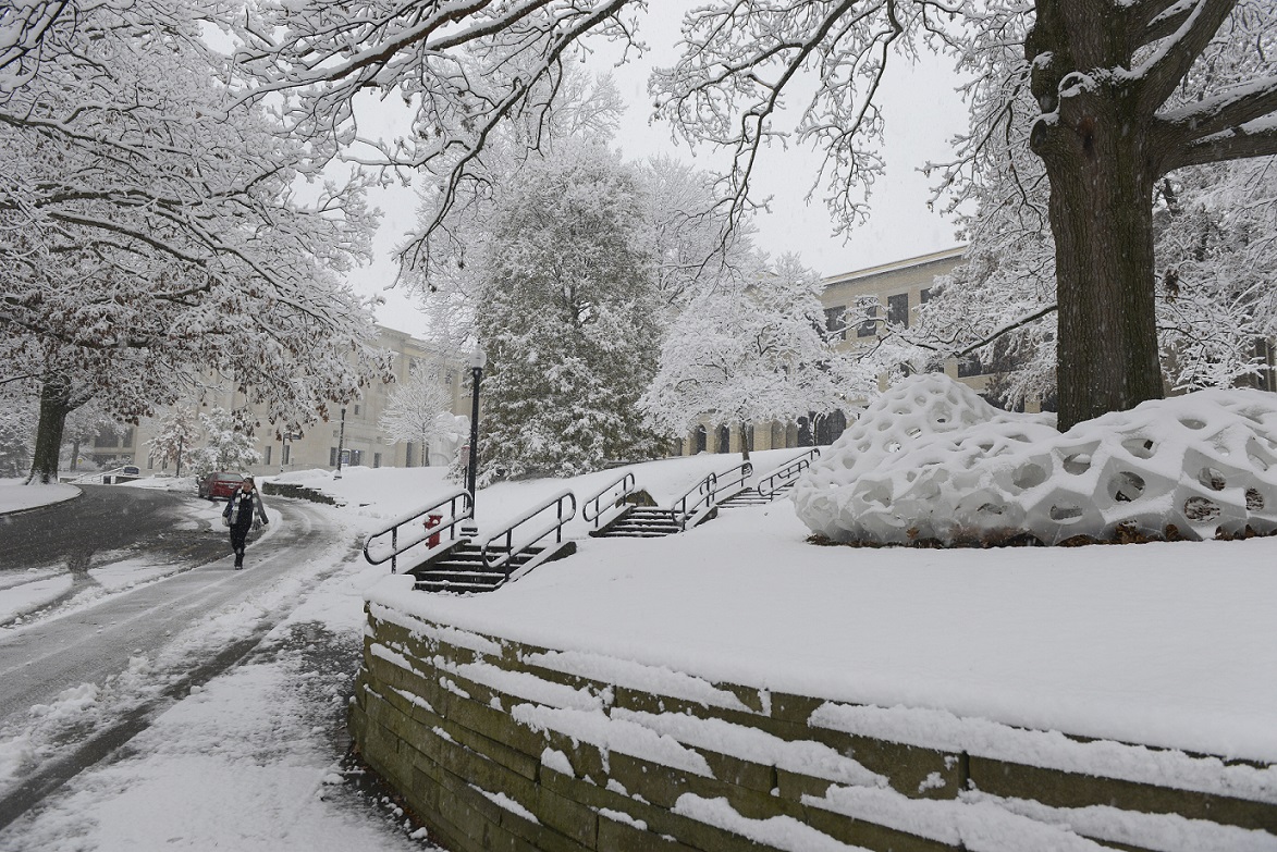 Kent State Receives Tree Campus USA Recognition for Seventh Consecutive